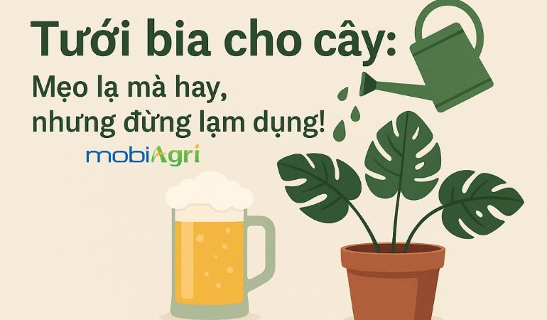 tuoi-bia-cho-cay-1