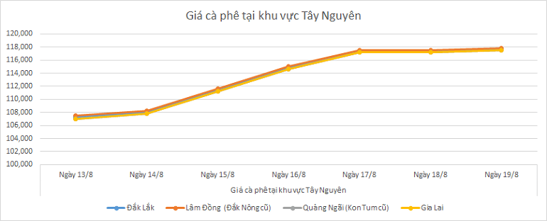 Bieu-do-gia-ca-phe-19-8-2025