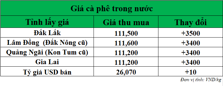 Gia-ca-phe-hom-nay-ngay-15-8-2025