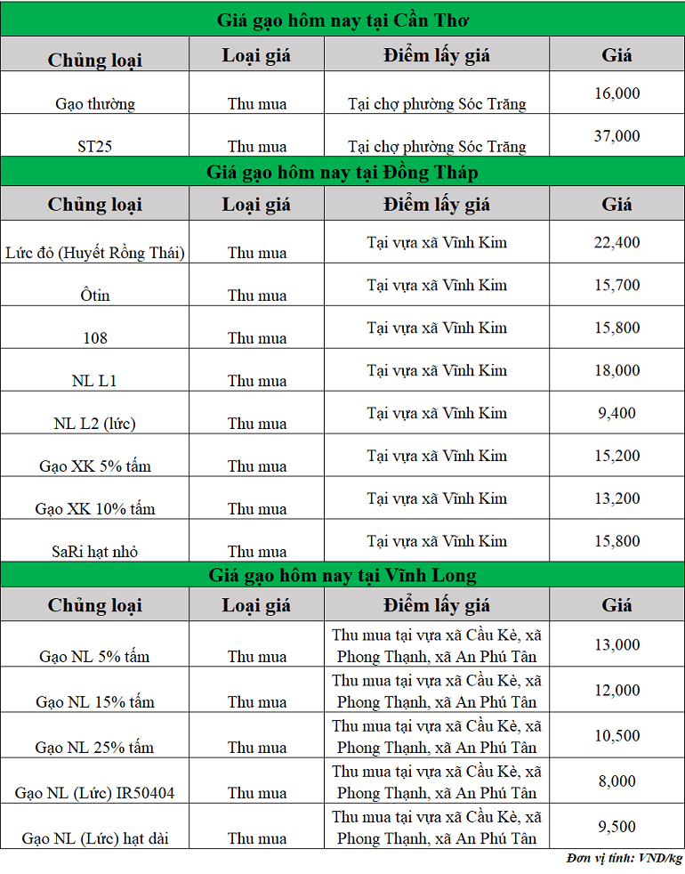 Gia-gao-hom-nay-ngay-20-8-2025