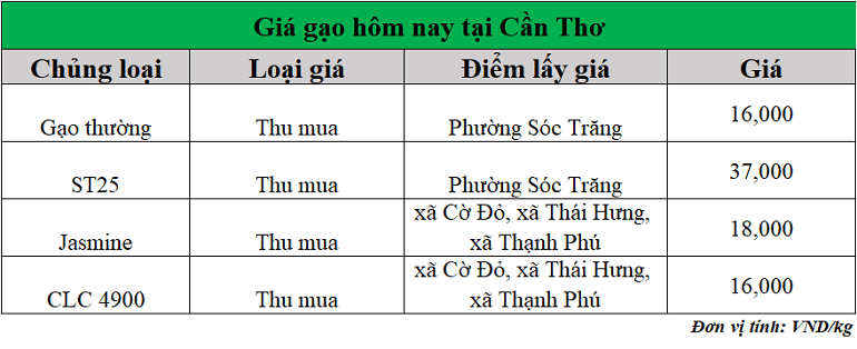 Gia-gao-hom-nay-ngay-4-8-2025
