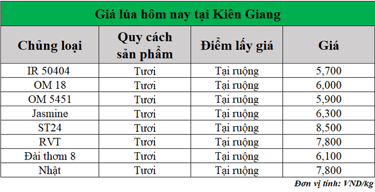 Gia-lua-hom-nay-ngay-1-8-2025