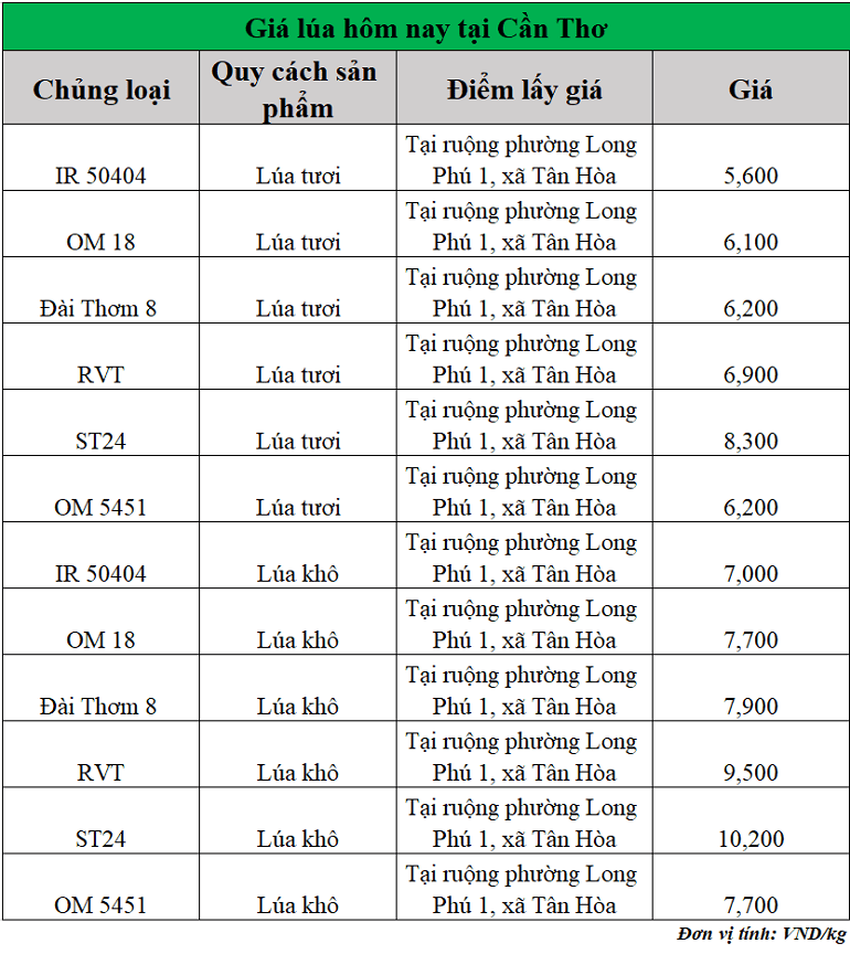Gia-lua-hom-nay-ngay-12-8-2025