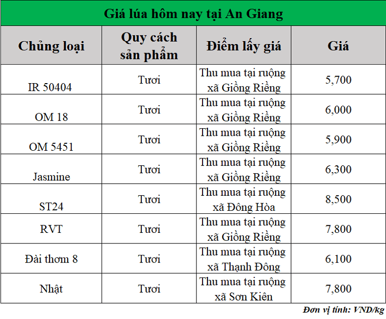 Gia-lua-hom-nay-ngay-15-8-2025