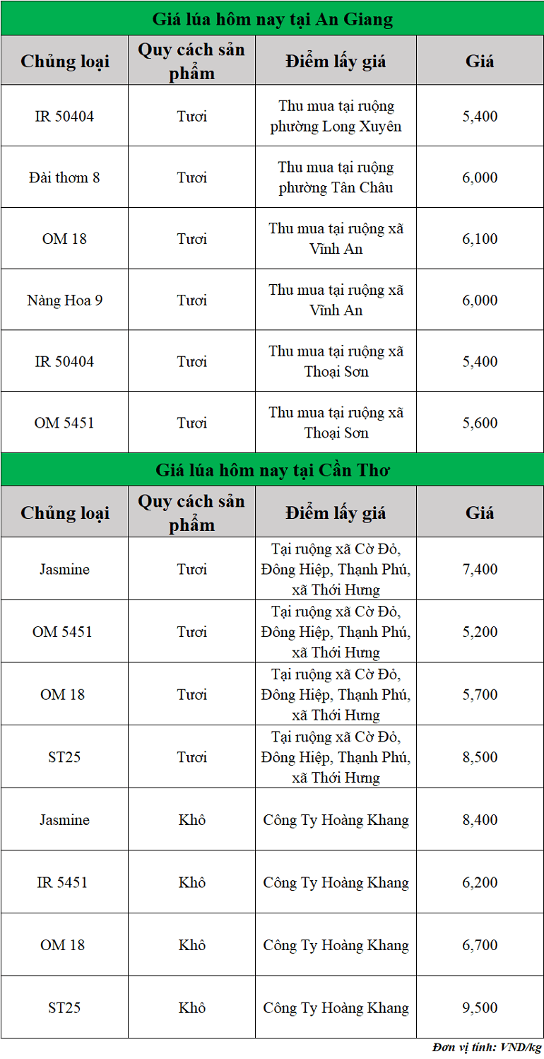 Gia-lua-hom-nay-ngay-28-8-2025