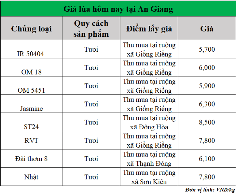 Gia-lua-hom-nay-ngay-29-8-2025