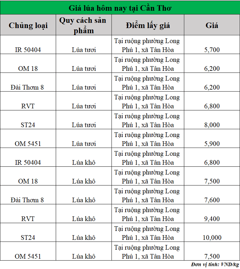 Gia-lua-hom-nay-ngay-5-8-2025