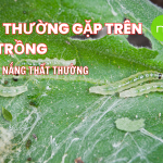 Khi Mưa Nắng Thất Thường-1