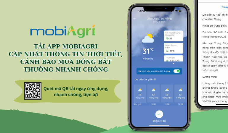 THỜI TIẾT MOBIAGRI