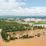 phục hồi ruộng lúa sau mưa bão-1
