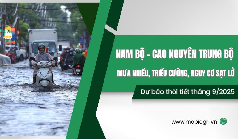 thoi-tiet-thang-9-2025-nam-bo-tay-nguyen