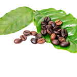 Gia-ca-phe-ngay-30-10-2025