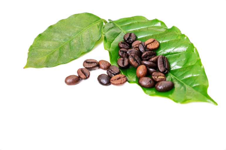 Gia-ca-phe-ngay-30-10-2025