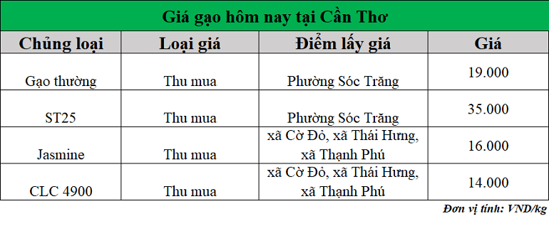 Gia-gao-hom-nay-ngay-15-9-2025