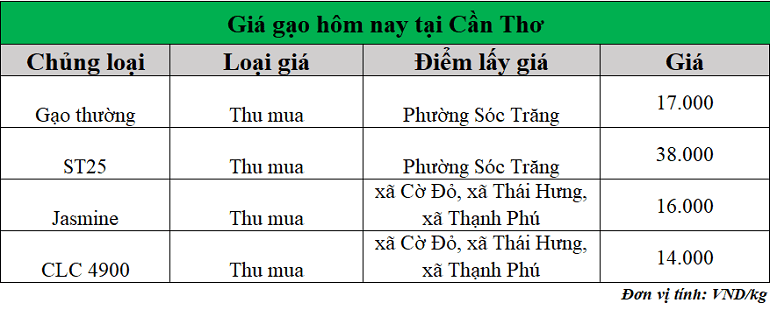 Gia-gao-hom-nay-ngay-22-9-2025