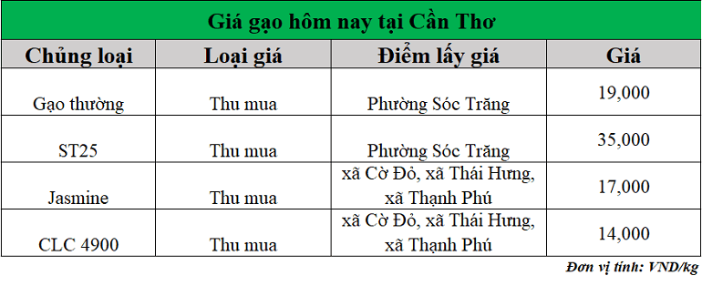 Gia-gao-hom-nay-ngay-8-9-2025