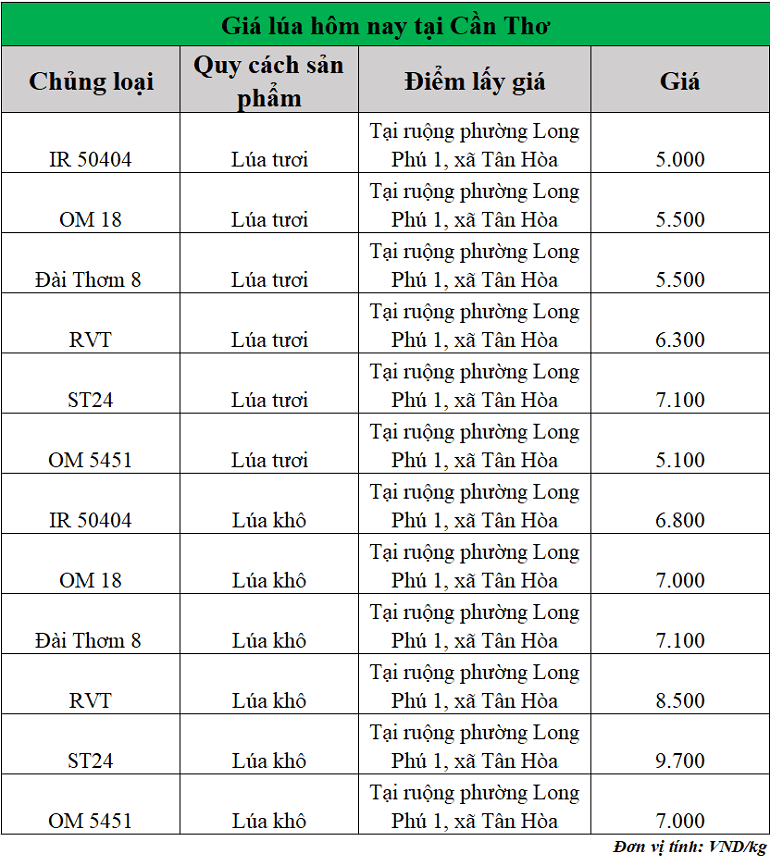 Gia-lua-hom-nay-ngay-16-9-2025