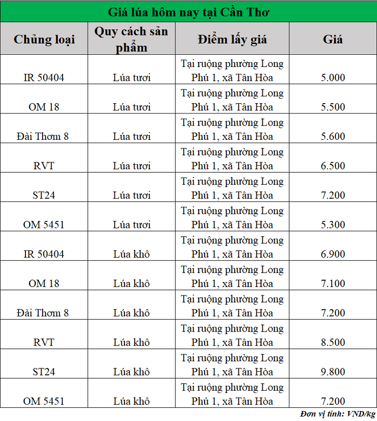 Gia-lua-hom-nay-ngay-23-9-2025