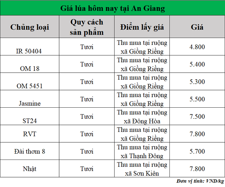 Gia-lua-hom-nay-ngay-26-9-2025