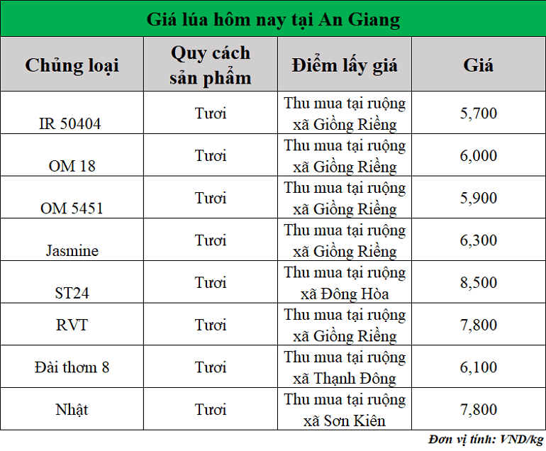 Gia-lua-hom-nay-ngay-5-9-2025