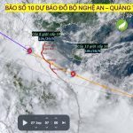 bao so 10