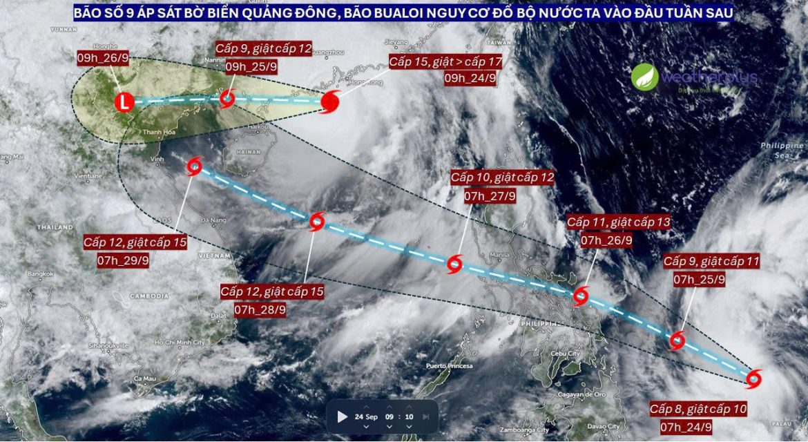 bão số 10