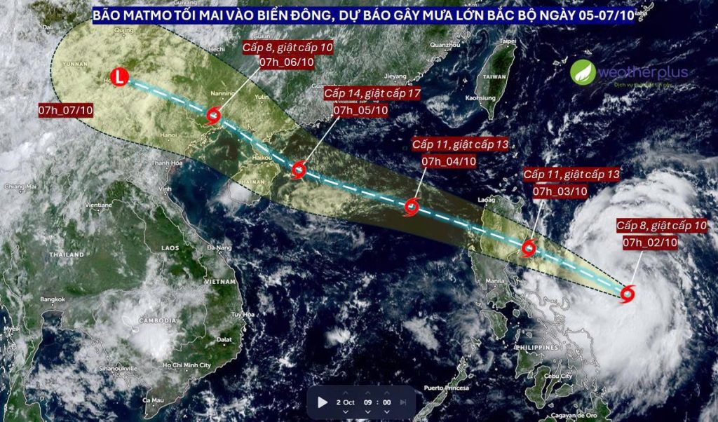 Bão MATMO - Bão số 11