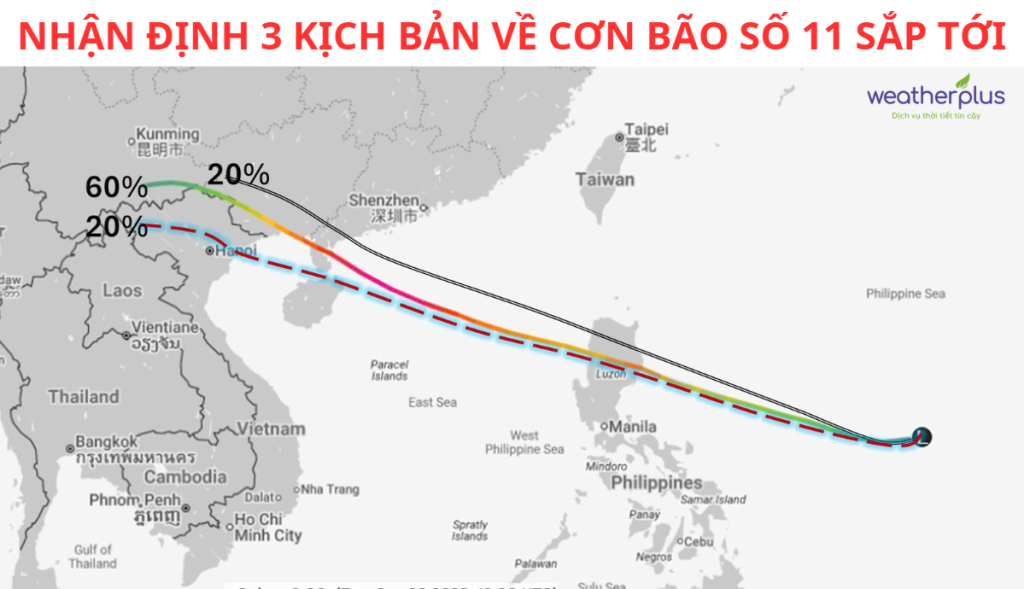 3 kịch bản bão số 11