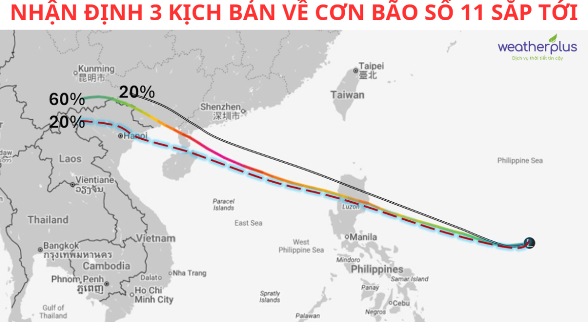 3 kịch bản bão số 11