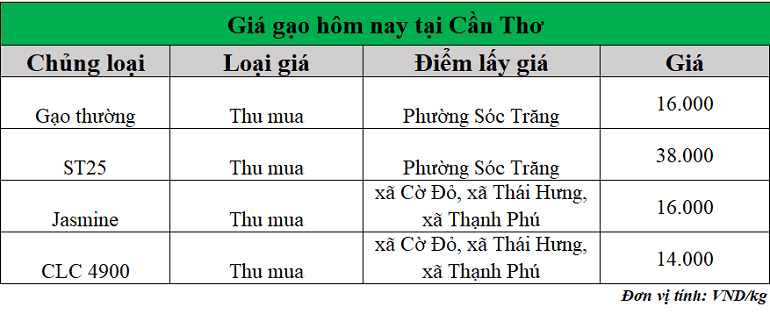 Gia-gao-hom-nay-ngay-13-10-2025