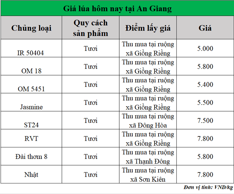 Gia-lua-hom-nay-ngay-17-10-2025