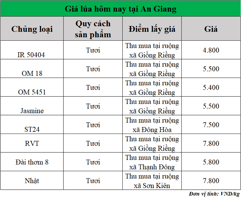Gia-lua-hom-nay-ngay-24-10-2025