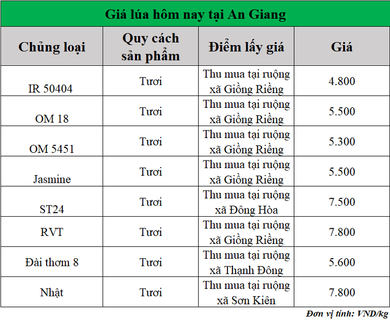 Gia-lua-hom-nay-ngay-31-10-2025 Gia-lua-hom-nay-ngay-31-10-2025