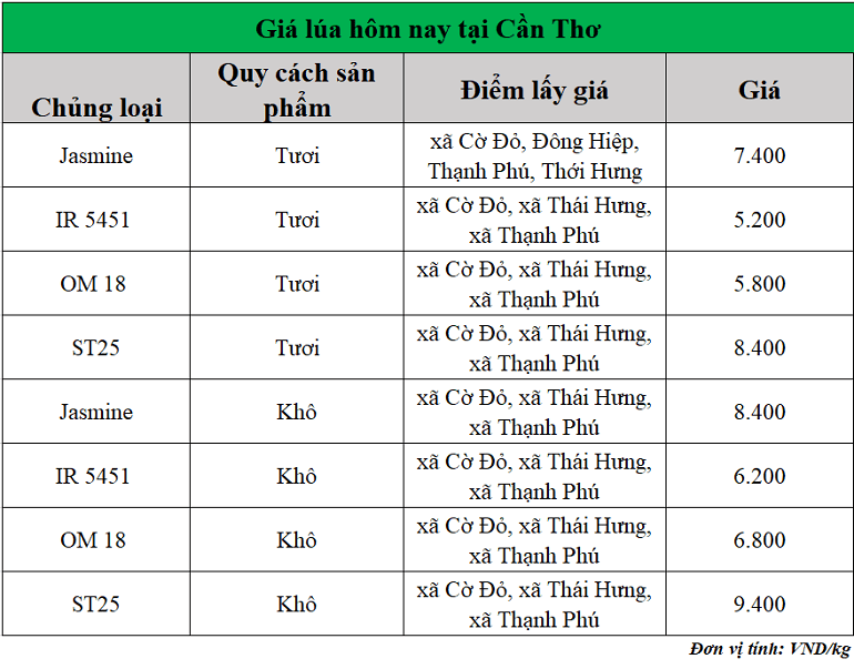Gia-lua-hom-nay-ngay-6-10-2025