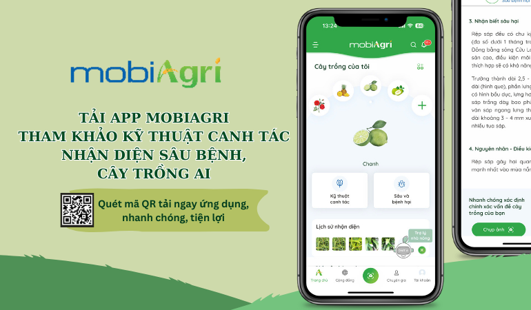 Kỹ thuật canh tác-mobiagri