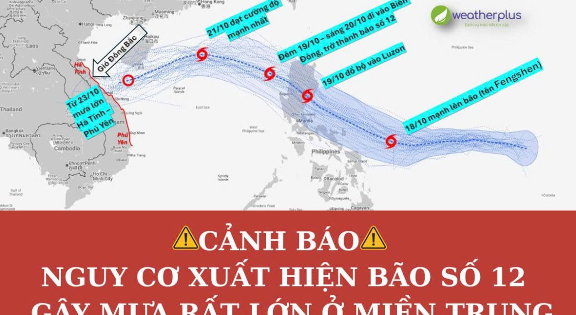 bao-so-12