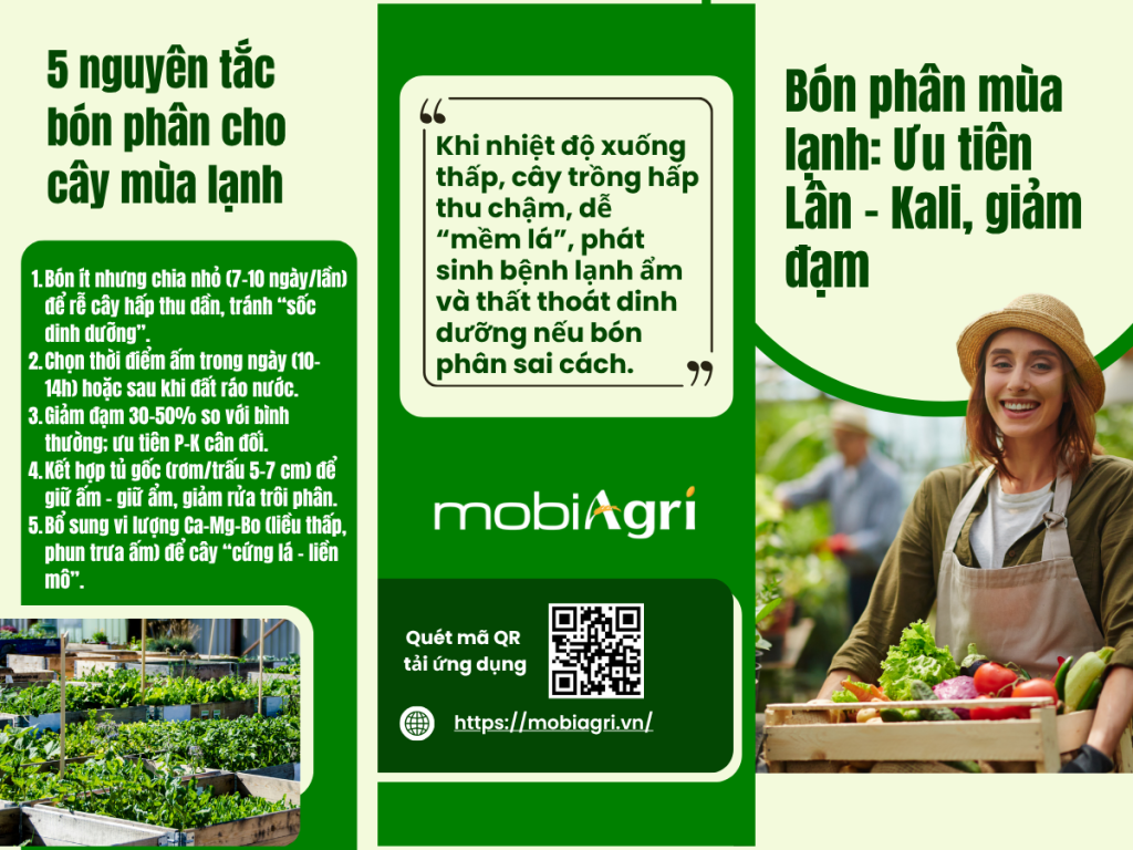 5 nguyen tắc bón phân