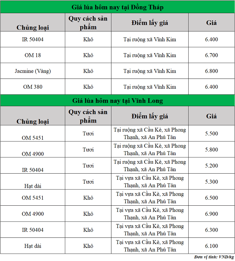 Gia-lua-hom-nay-ngay-12-11-2025