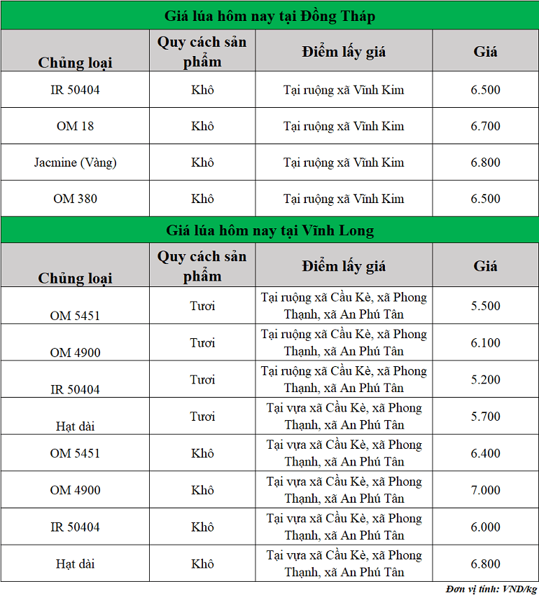Gia-lua-hom-nay-ngay-19-11-2025