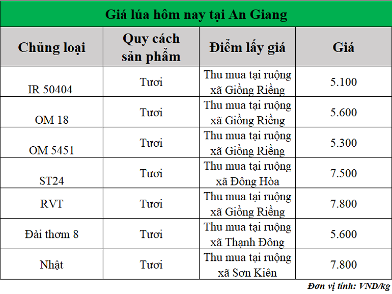 Gia-lua-hom-nay-ngay-21-11-2025