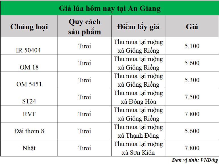 Gia-lua-hom-nay-ngay-28-11-2025