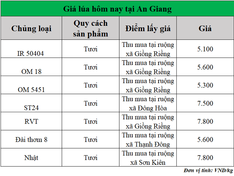 Gia-lua-hom-nay-ngay-7-11-2025 Gia-lua-hom-nay-ngay-7-11-2025