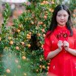 cay-phong-thuy-tet-2026-cay-hut-tai-loc-2