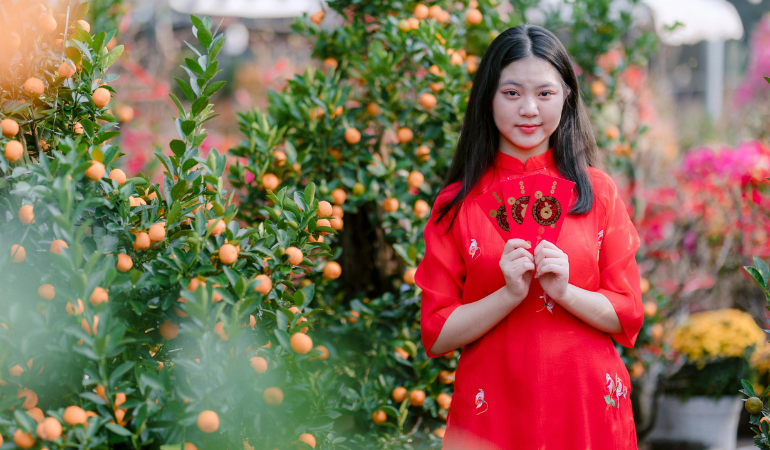 cay-phong-thuy-tet-2026-cay-hut-tai-loc-2