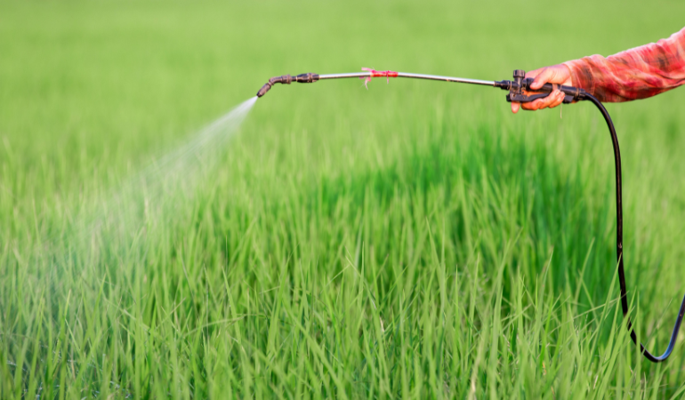 khang-thuoc-bvtv-sau-mua-lu-2