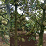 khuyen-cao-bao-so-13