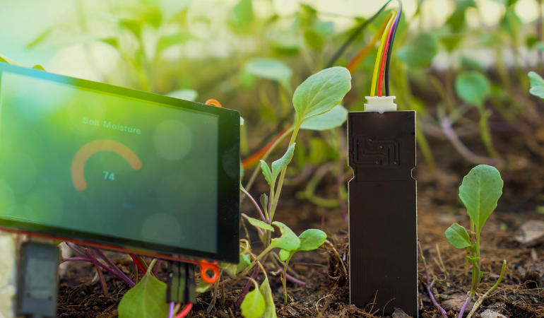 xu-huong-nong-nghiep-xanh-2026-huu-co-tuoi-nho-giot-iot-3