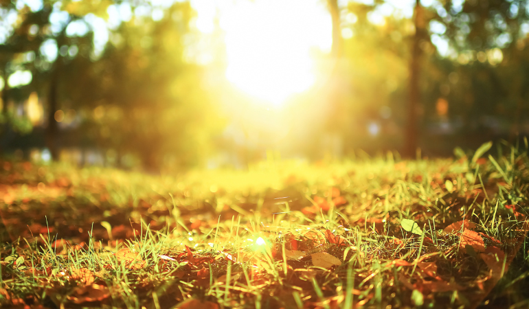 Du-bao-thoi-tiet-thang-1-2026-2