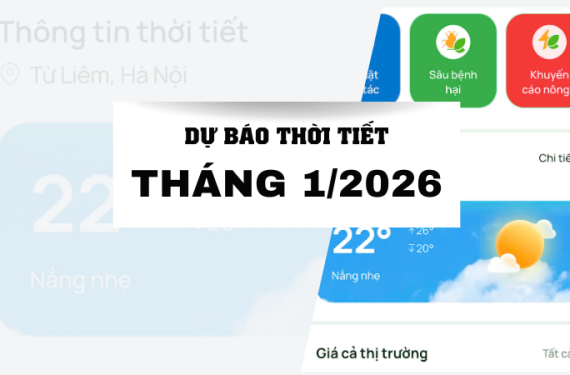 Du-bao-thoi-tiet-thang-1-2026