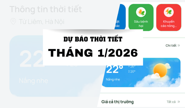 Du-bao-thoi-tiet-thang-1-2026